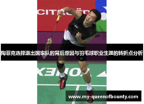 陶菲克选择退出国家队的背后原因与羽毛球职业生涯的转折点分析 陶菲克选择退出国家队的背后原因与羽毛球职业生涯的转折点分析