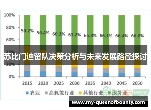 苏比门迪留队决策分析与未来发展路径探讨 苏比门迪留队决策分析与未来发展路径探讨
