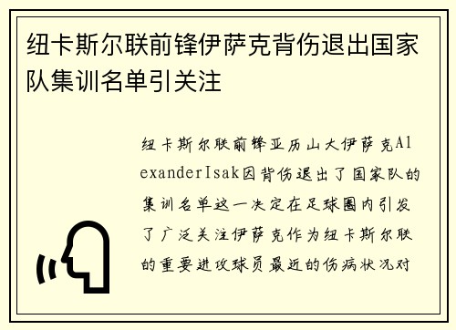 纽卡斯尔联前锋伊萨克背伤退出国家队集训名单引关注 纽卡斯尔联前锋伊萨克背伤退出国家队集训名单引关注